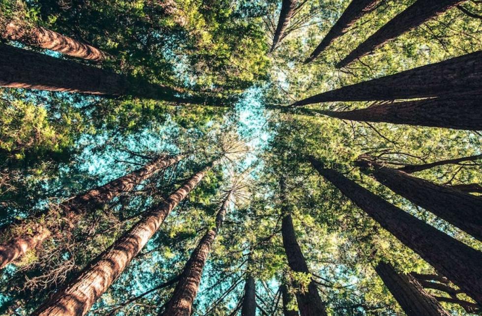 Des produits respectueux de leur environnement