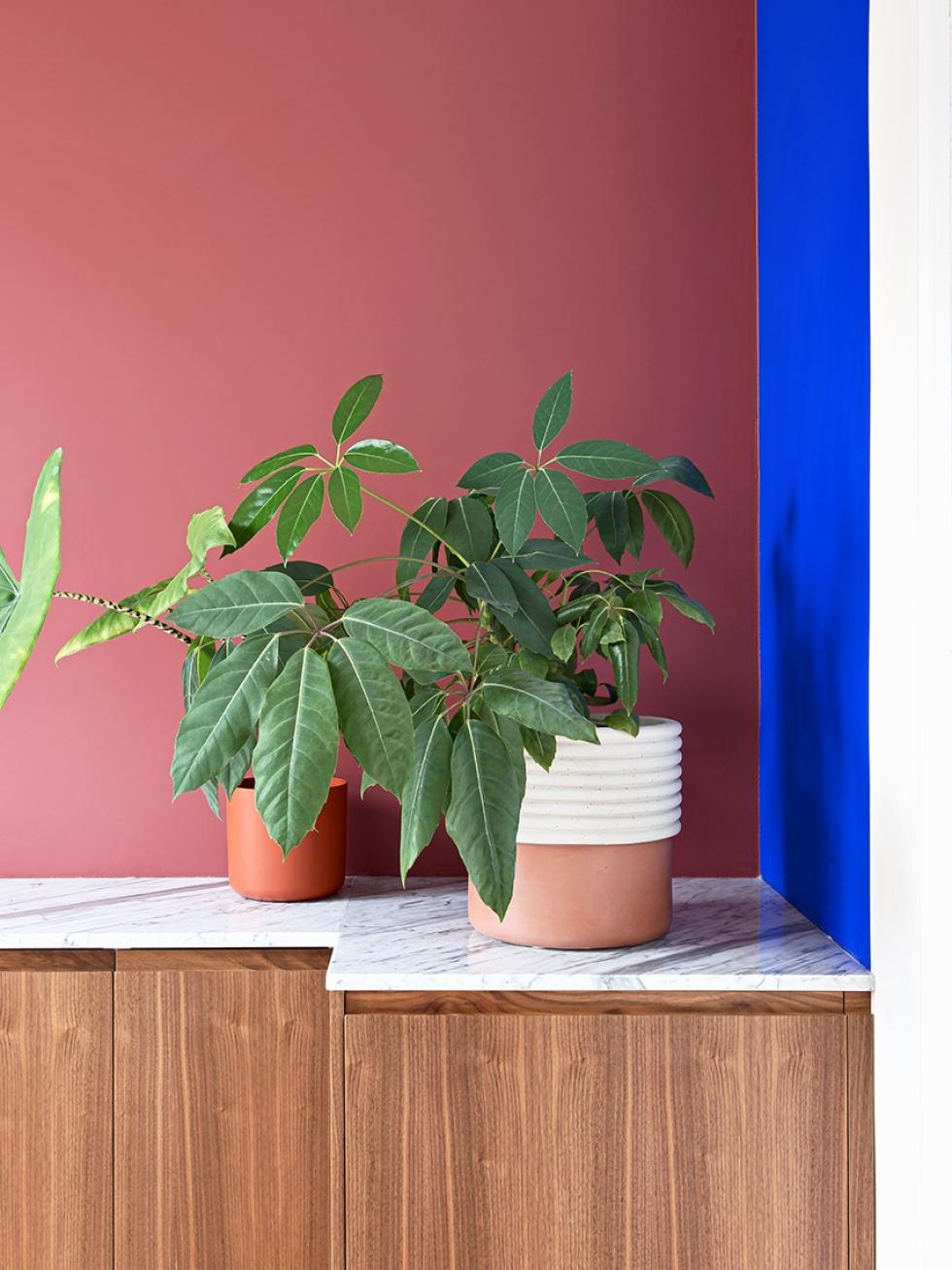 enfilade noyer mur bordeaux