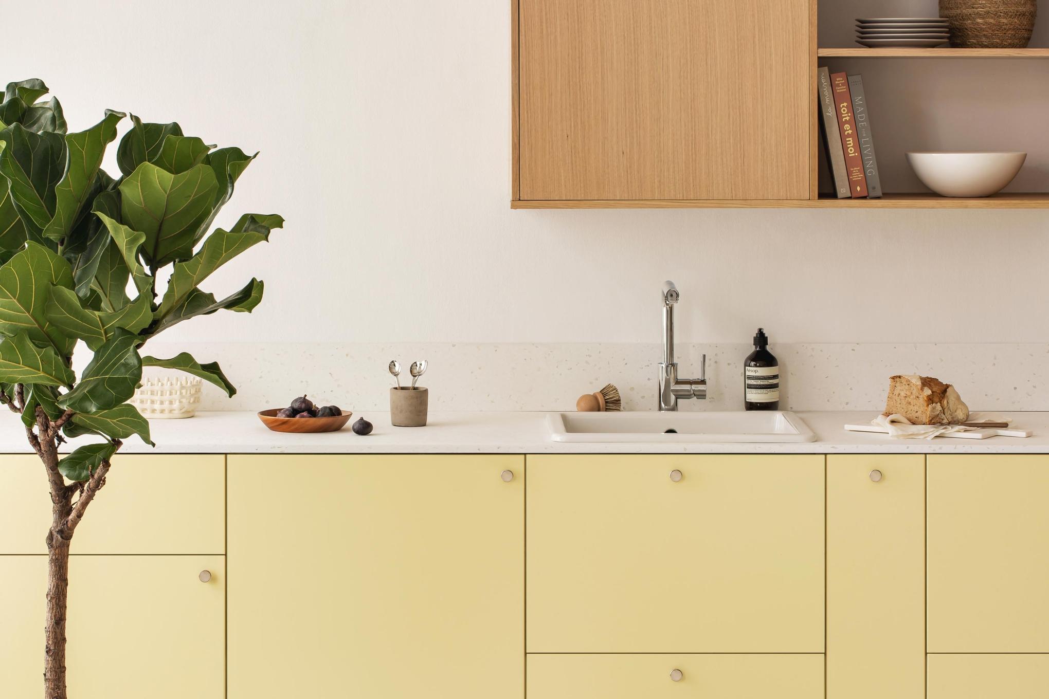 Cuisine Plum Living Lemonade